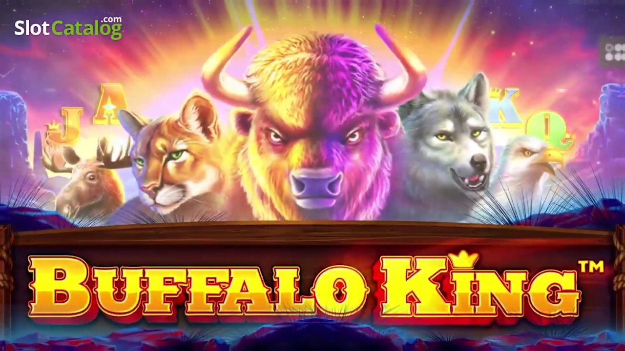 slot Buffalo King, apostas, dicas, estratégias, ganhar mais, cassino online.